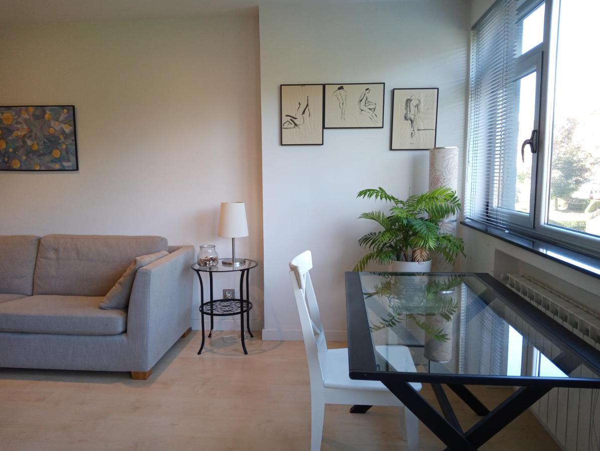 Surf And Art Parking Gratuito * Oviedo